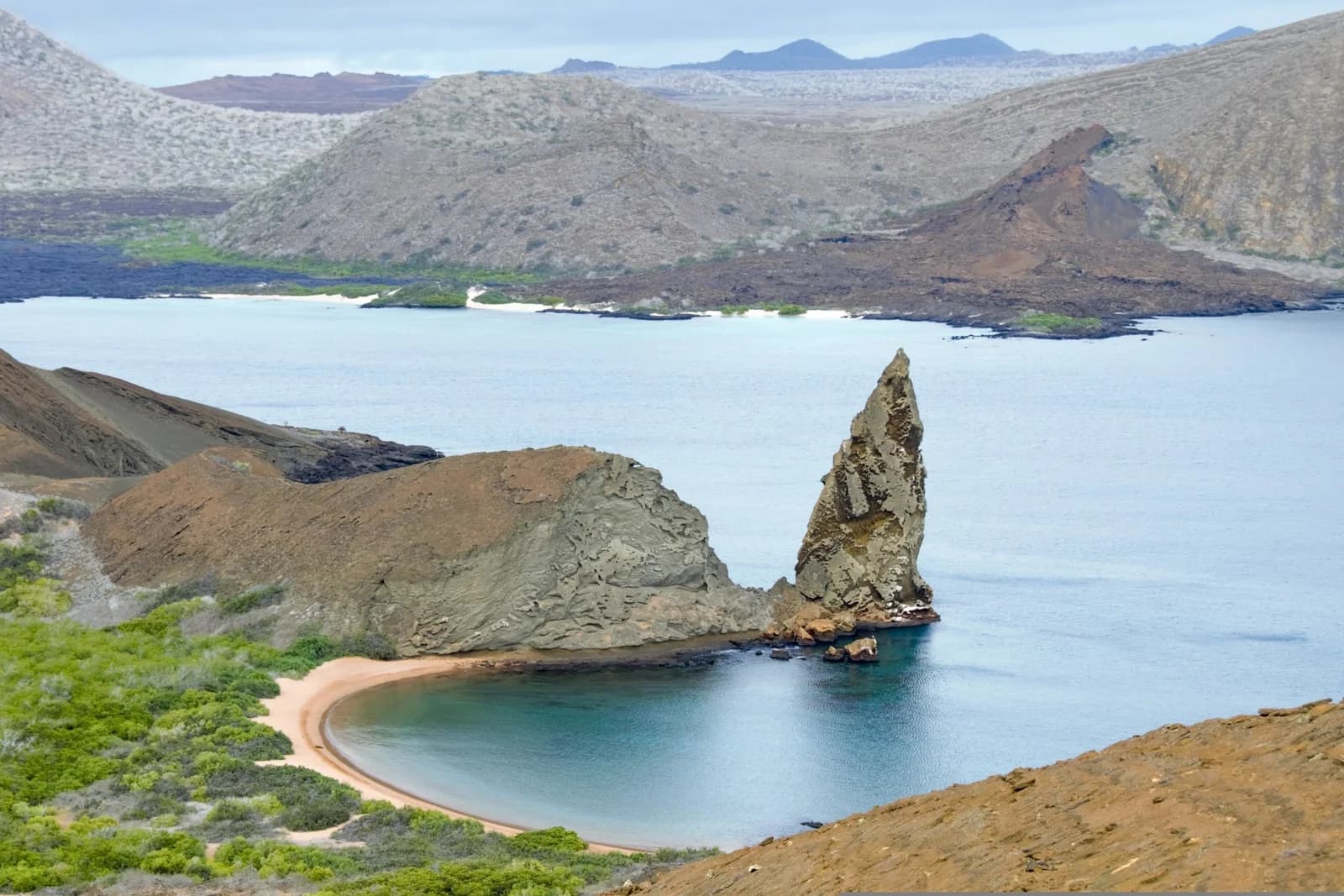 Things to Do in Puerto Ayora, Galápagos: Santa Cruz Island Travel Guide